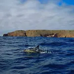 شقة Casa Do Portao Azul - Dourada