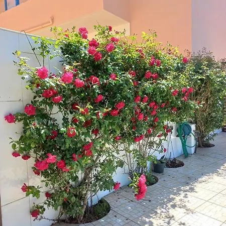 Casa Do Portao Azul - Dourada Apartment *