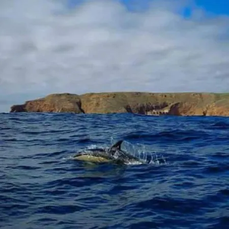 Apartment Casa Do Portao Azul - Dourada