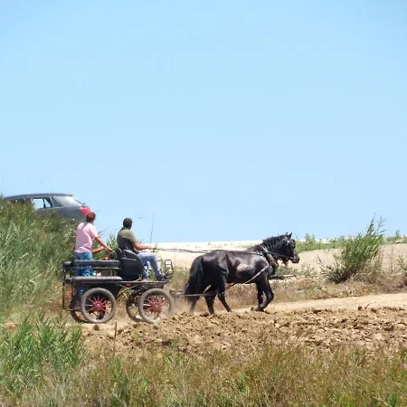 Casa Do Portao Azul - Dourada Apartment *