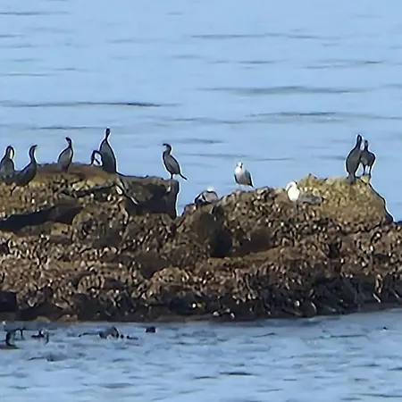 Apartment Casa Do Portao Azul - Dourada Atouguia Da Baleia