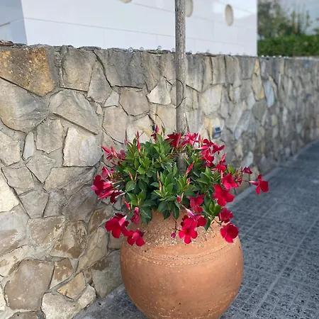 Apartment Casa Do Portao Azul - Dourada Atouguia Da Baleia