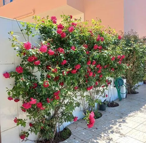 Casa Do Portao Azul - Dourada Appartement *