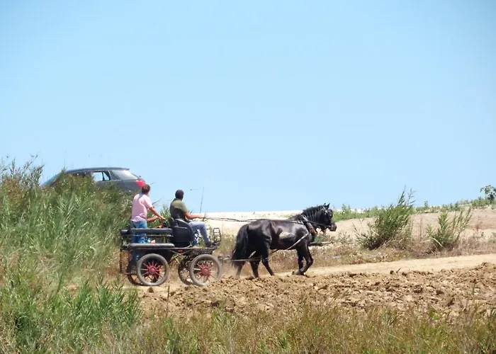 Casa Do Portao Azul - Dourada Appartement *