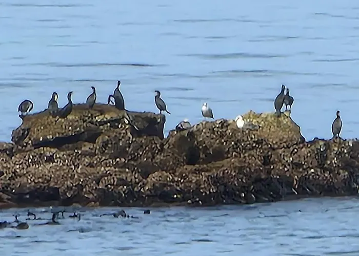 Appartement Casa Do Portao Azul - Dourada Atouguia Da Baleia