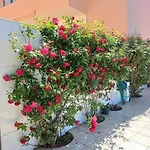 Casa Do Portão Azul - Dourada Apartamento *
