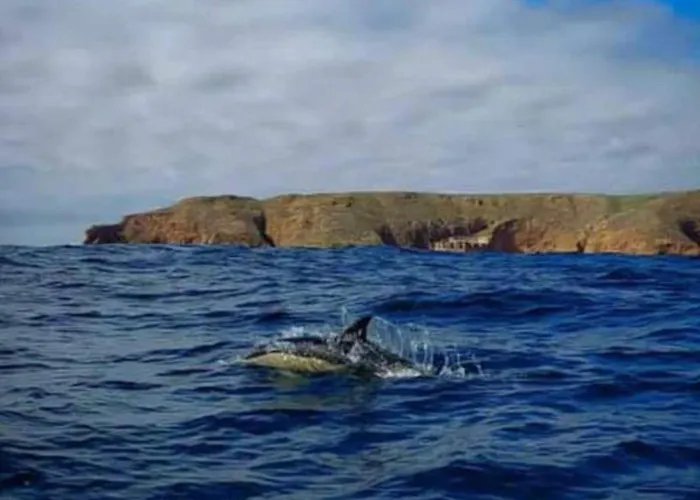 アパート Casa Do Portao Azul - Dourada